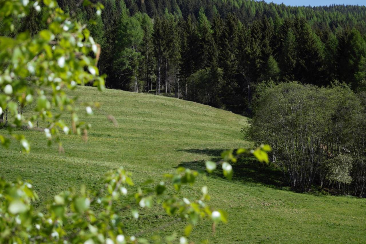 Landhaus Holzer Sankt Margarethen im Lungau Bagian luar foto